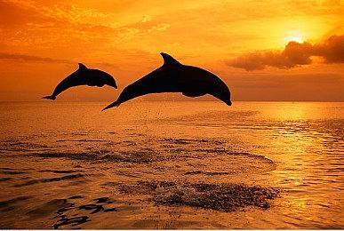 新一期Fami通游戏评分出炉 《漫威暗夜之子》获33分